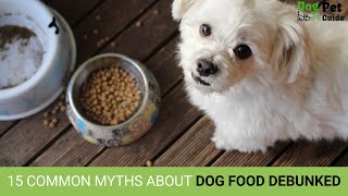 15 Common Myths About Dog Food DEBUNKED - Separating Fact From Fiction