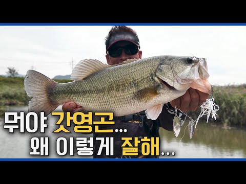 이거 보면 나도 양영곤 되는 거임? ㅇㅇ｜스베+텍사스리그로 가을 배스 공략 [이글아이 2/8회]