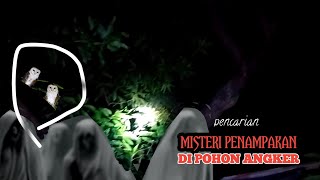 MISTERI PENAMPAKAN DI POHON ANGKER