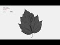Nihil Young Sweet Dreams mp3