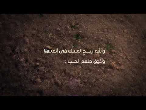 خاطرة ورحلت يا أماه إلقاء عبدالله أمجد 