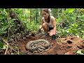 Shocking Discovery! Woman Finds Giant Python Nest in the Wild 😱🐍 | Terrifying Snake Encounter