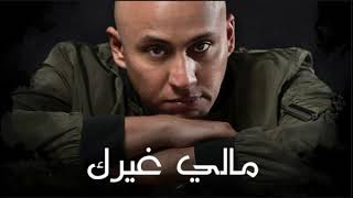 Sultan Alomane - Maly Gayrak|سلطان العماني مالي غيرك