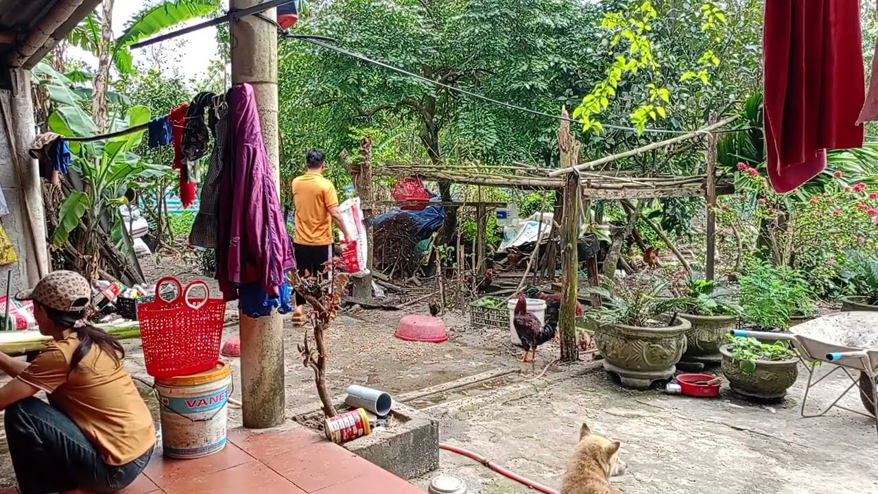 The Heart of My Hometown: Food, Friends, and Fun!