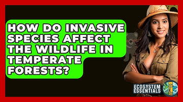 How Do Invasive Species Affect The Wildlife In Temperate Forests? - Ecosystem Essentials