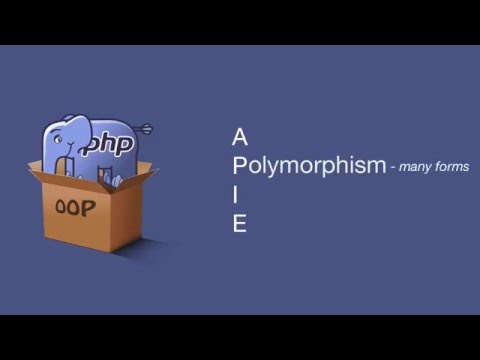 Object Oriented Polymorphism
