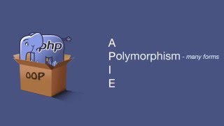 Object Oriented Polymorphism