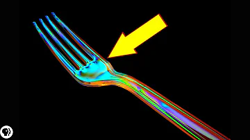 Can humans be polarized?