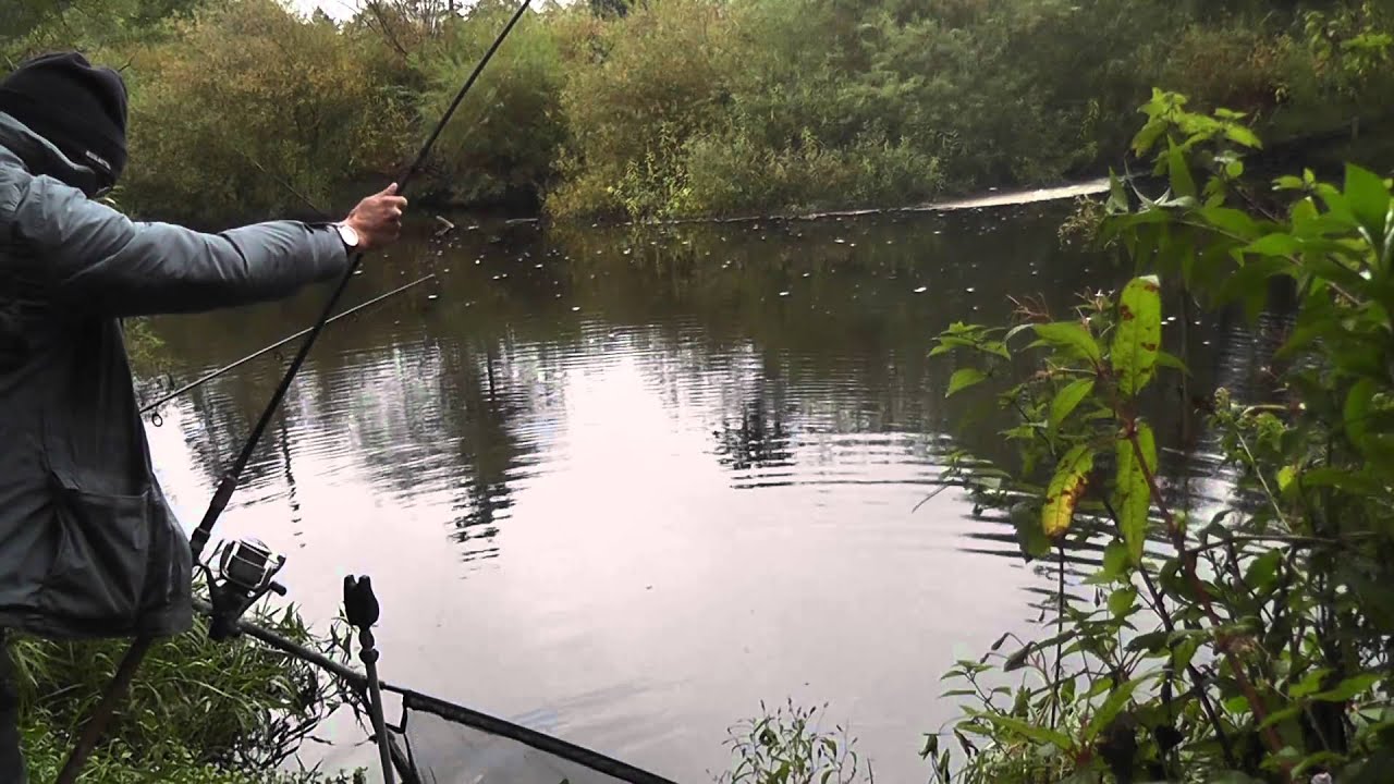 Barbel Fishing on the River Swale - 25 - YouTube