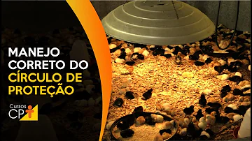 O que é círculo de proteção e quais equipamentos não podem faltar dentro desse círculo?