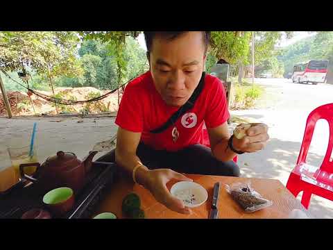 Video Quả Vả - Quả Ngõa | tác dụng tốt cho sức khoẻ người... - youtube