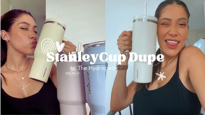 Stanley Cup 40 oz vs. Simple Modern — Topknots and Pearls