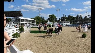 Shetland Pony Steeplechase - Devon Horse Show 2019