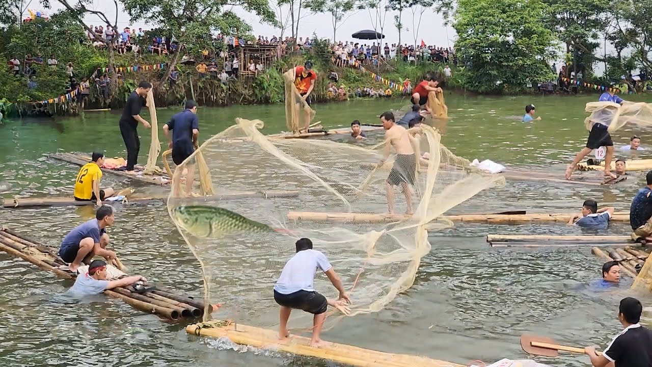 Lễ hội đánh cá suối Lỗ Sơn, Tân Lạc | LAM SƠN TV