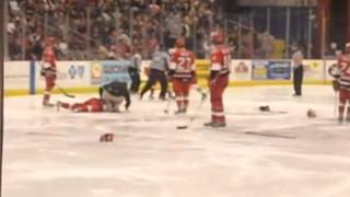 Hockeyfighters.cz  Derek Dorsett vs Marc Cavosie.wmv
