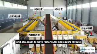 Famous Loop Cross Belt Sorting machine for Express parcel sorting #sorting #express #automation #machine Net Worth