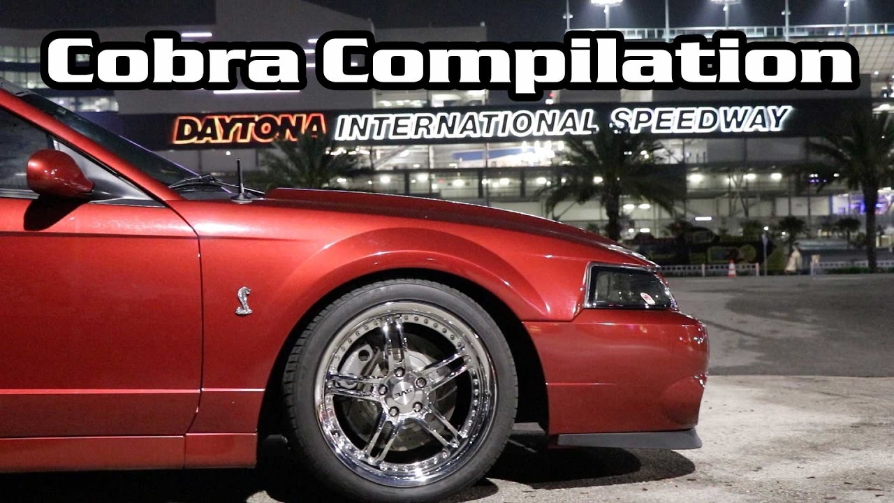 2003 Cobra Compilation Eaton Supercharger Whine YouTube
