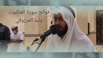 فواتح سورة العنكبوت - وليد المرزوقي