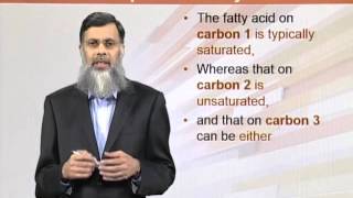 BIO202_Topic121