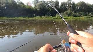 видео: ЖЕРЕХ И ЩУКА!!! Рыбалка на Суре! картинка: ЖЕРЕХ И ЩУКА!!! Рыбалка на Суре!