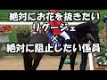 【誘導馬】札幌競馬場のリグージェはお花に夢中⁉他 現地映像