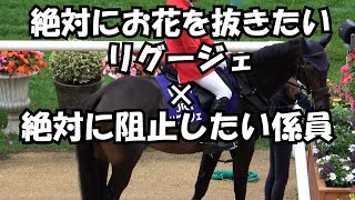 【誘導馬】札幌競馬場のリグージェはお花に夢中⁉他 現地映像