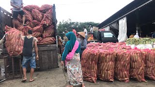 JAGUNG CANTIK | MANOHARANYA CIREBON DATANG LAGI