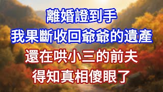 離婚證到手,我果斷收回爺爺的遺產,還在哄小三的前夫,得知真相傻眼了