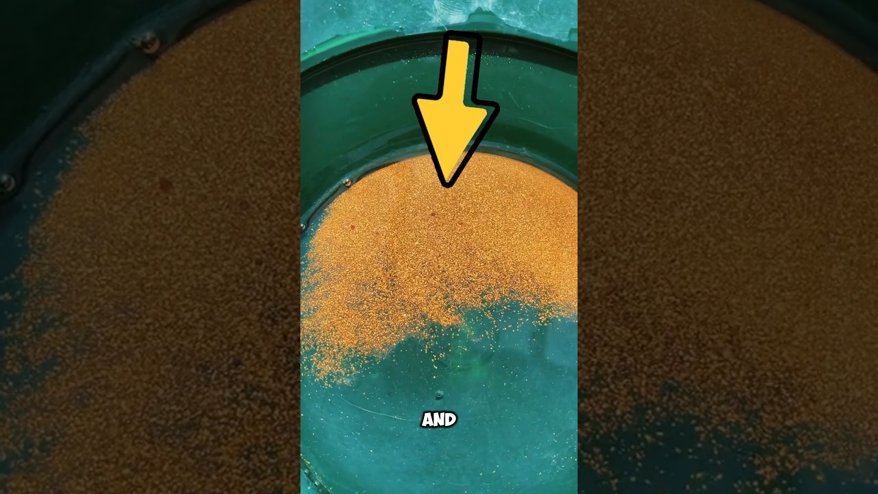 💰Where and How to Find Gold Without Expensive Gear💰