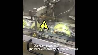 Ulma Sienna LS BI flow pack machine