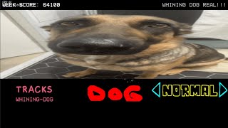 Friday Night Funkin Vs Da Whining Dog - FNF Mod Gameplay