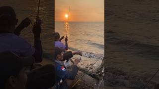 mancing gacor #mancingmania #exben #angler #fishing #mancingfypviral
