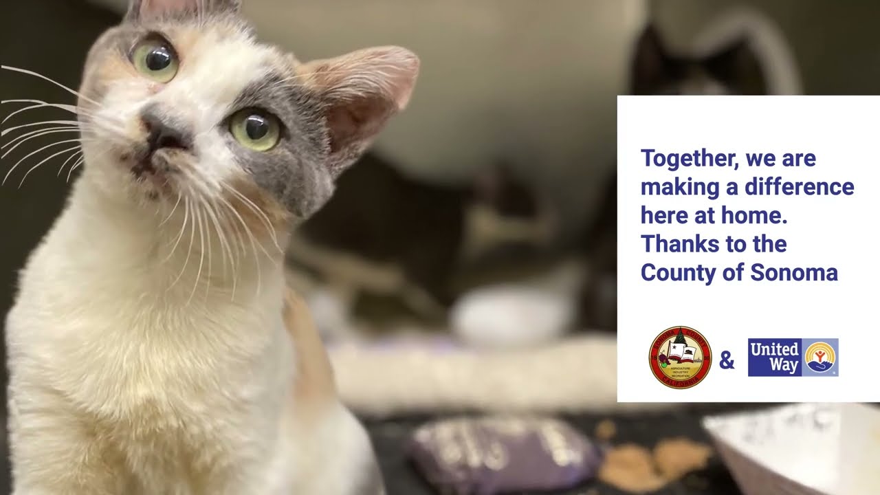 County of Sonoma Combined Fund Drive 2022 - Human Society of Sonoma County