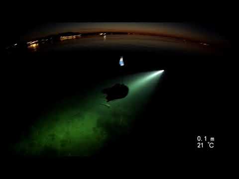 UV JAGT NAT KBH