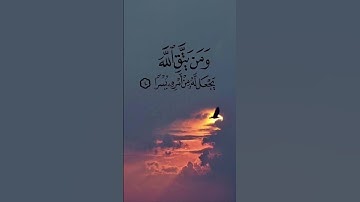 #foryou #تلاوه_خاشعه #القران_الكريم #explore #اكسبلور #القزابري #تيك_توك #لايك #ترند #راحة_نفسية