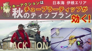 【ティップランエギング】ブラックライオン・トリッキーアクションにはチューブラーティップが効く！秋の爆乗りティップランin日本海