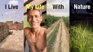 Peaceful Village Day & Night Lunch At Home & Night Sounds Of Nature