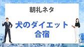 朝礼ネタ 講師のひとネタ 1分間スピーチ Youtube