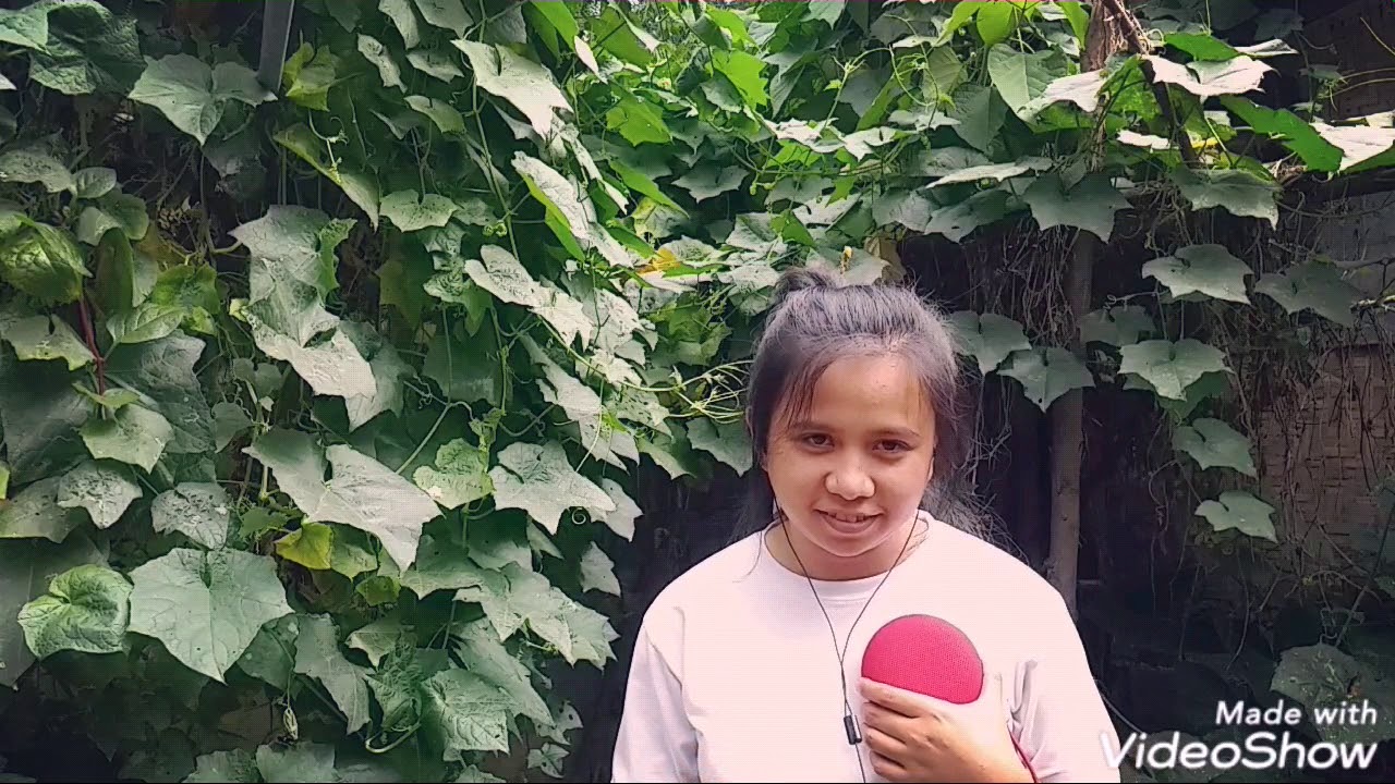 "O Holy Night" cover by Celine Dion (7th song)