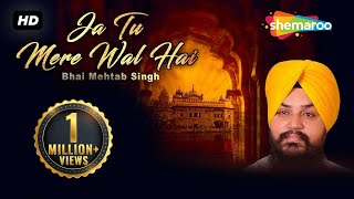 Ja Tu Mere Wal Hai (Bhai Mehtab Singh Jalandhar wale) - Shabad - Kirtan - Gurbani screenshot 5