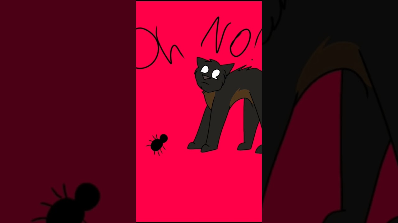 Spiderleg is afraid of spiders.