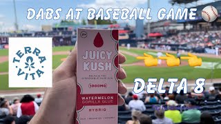 Taking Dabs on Our First Baseball Game !!! Juicy Kush Delta 8 (Must Watch)