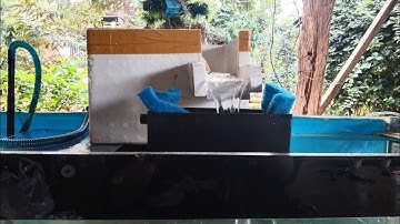 cách làm bộ lọc nước cho hồ cá 🐟 bằng thùng xốp 3 ngăn nhanh đẹp và đơn giản dễ làm