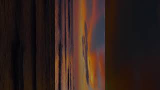 Iphone 17 Pro Max Camera Test shotoniphone iphone17promax cameratest