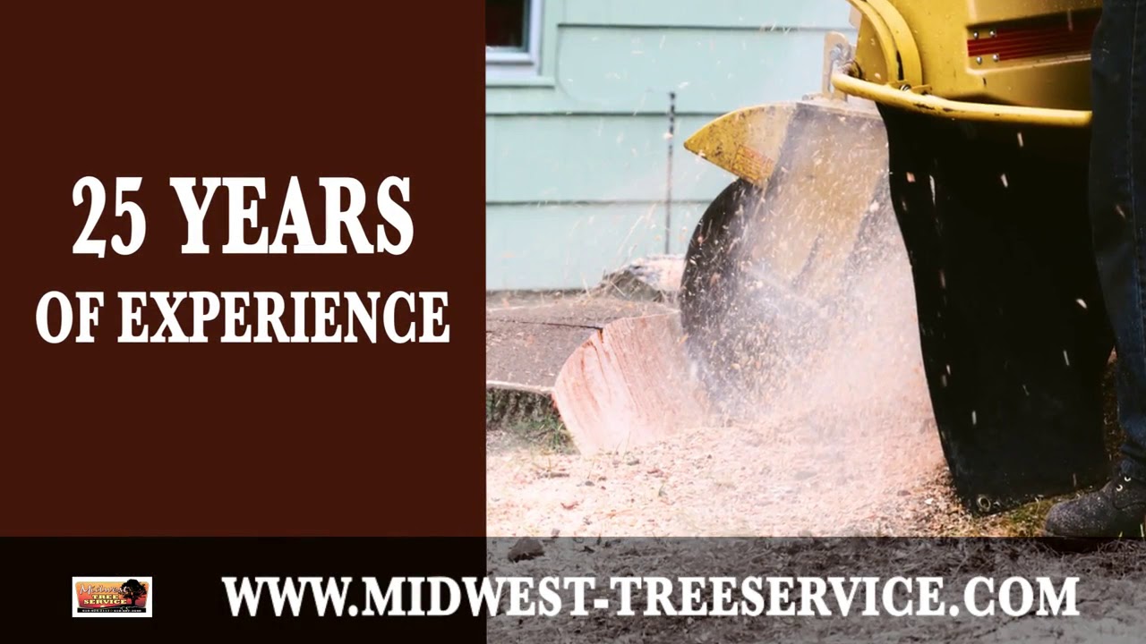 Midwest Tree Service, IL 62907
