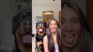 Imitate your dog.🤣🤣#dog #funny #funnydog #imitate #dogsoftiktok #funnyvideos