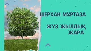картинка: Шерхан Мұртаза. Жүз жылдық жара