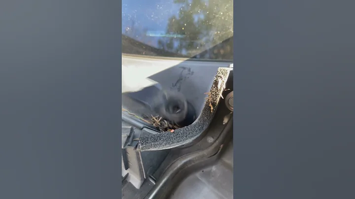 Cowl Vent removal #nissanrogue