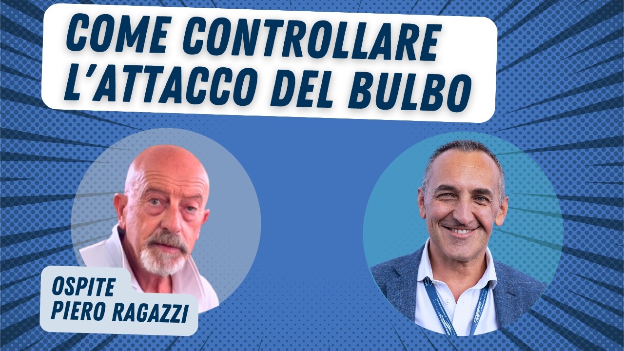 ⁣Come Controllare l'Attacco del BULBO - Le cose da VERIFICARE durante la PERIZIA di una BARCA