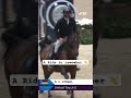 Richard Vogel & United Touch S just eating the twists and turns 😮‍💨🤯